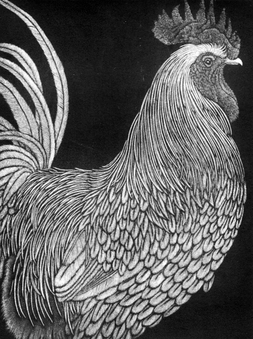 Brenda's Bodacious Bird_web Brenda's Bodacious Bird_web