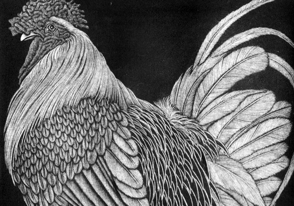 Untitled-1 Untitled-1