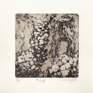 Fungi