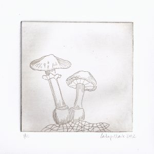 017