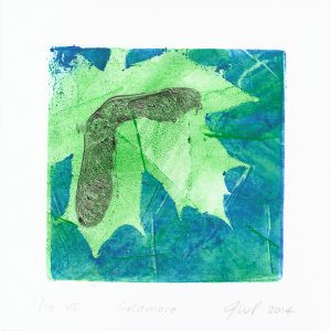 Sycamore