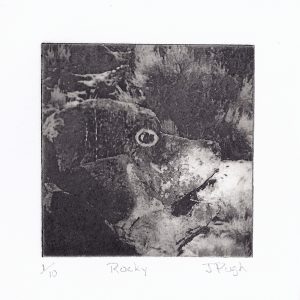 052