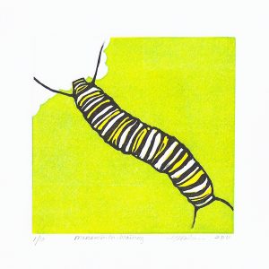 Monarch-In-Waiting