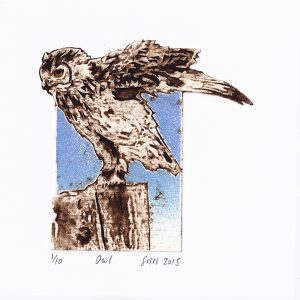 Owl