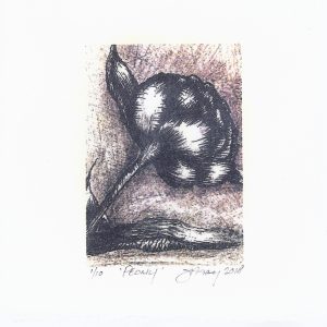 080