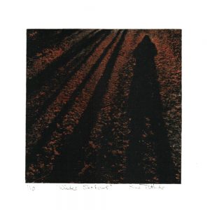 Winter Shadows