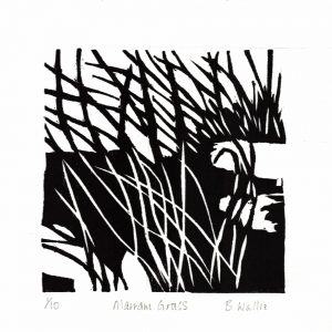 Marram Grass