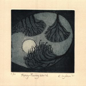 Topsy-Turvy World