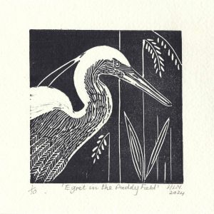 Egret in the Paddy Field