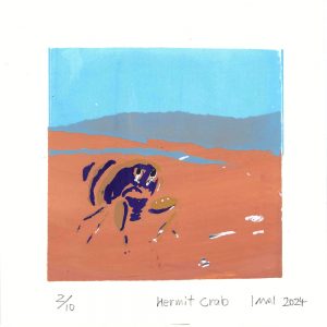 Hermit Crab