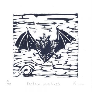 Eastern pipistrelle, endangered animals