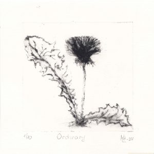 Ordinary