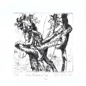 Hawthorn & Ivy