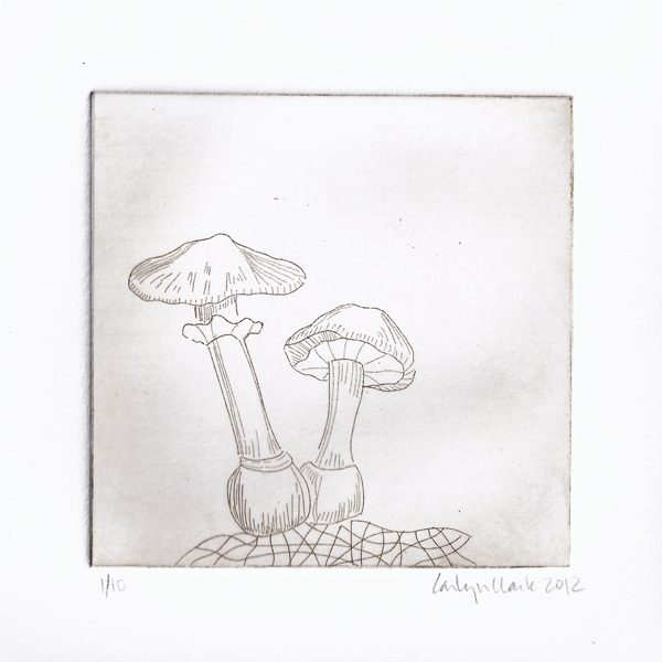 017