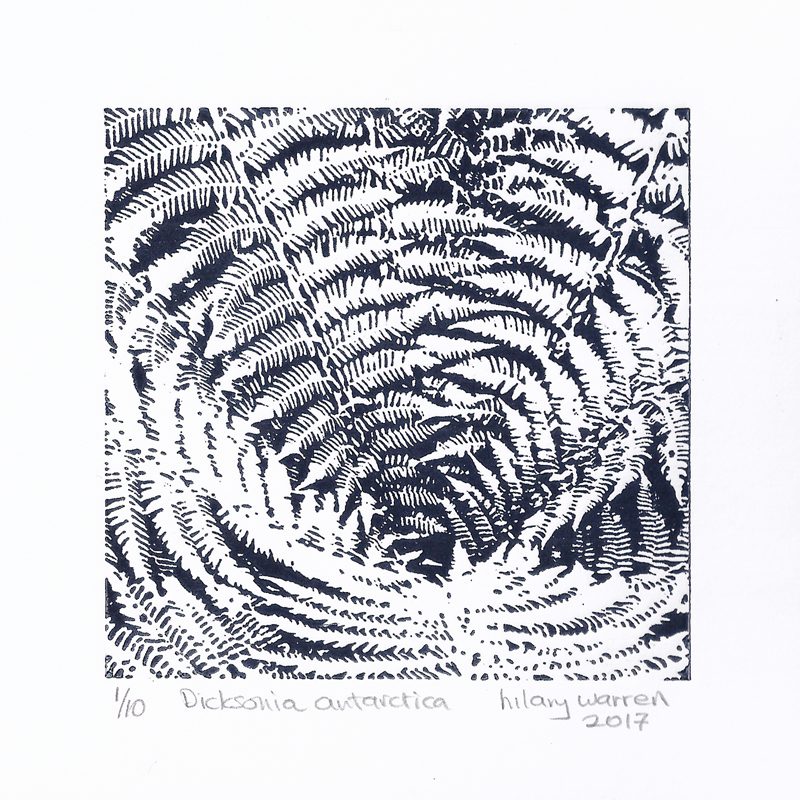 031