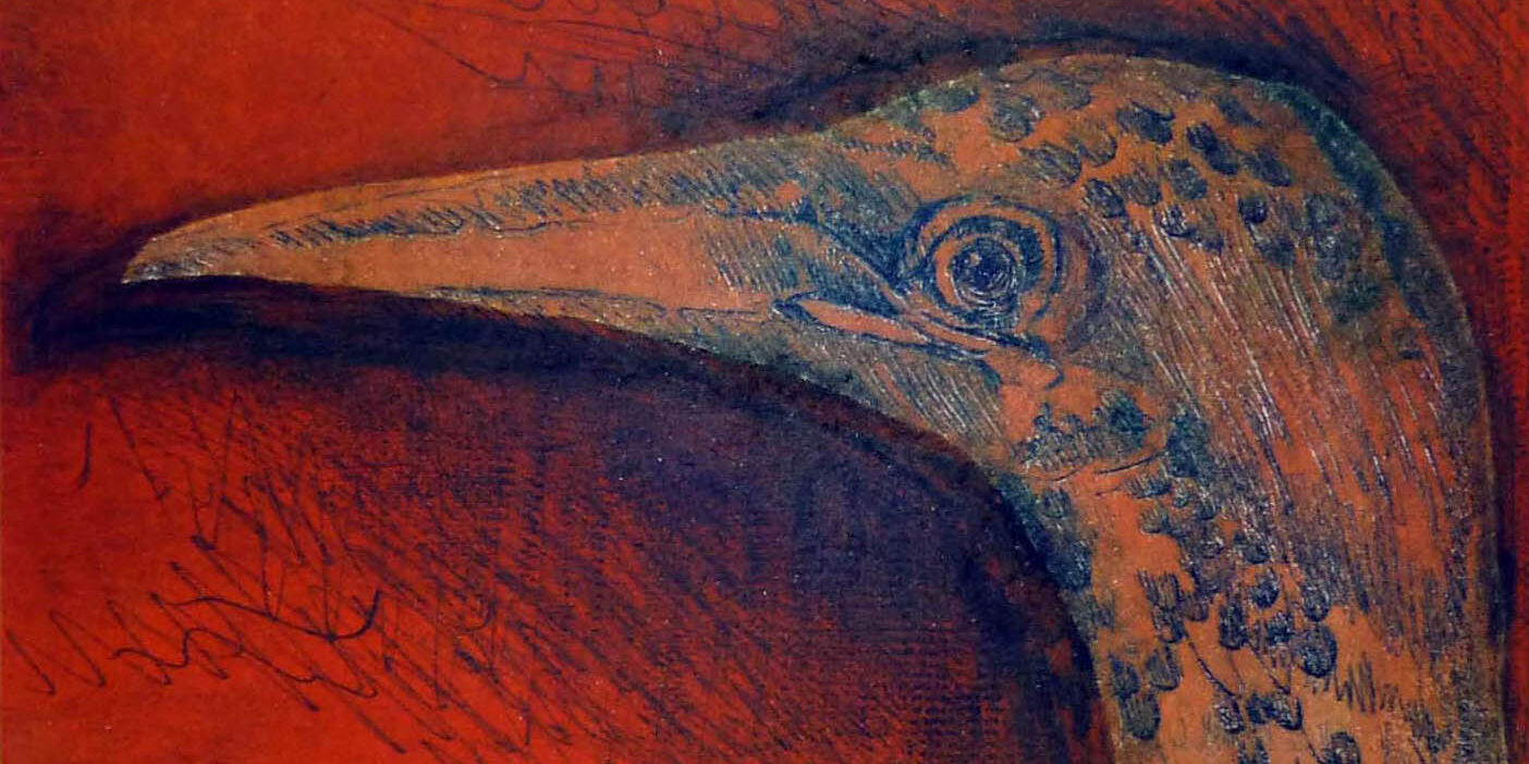 intagbird01 intagbird01