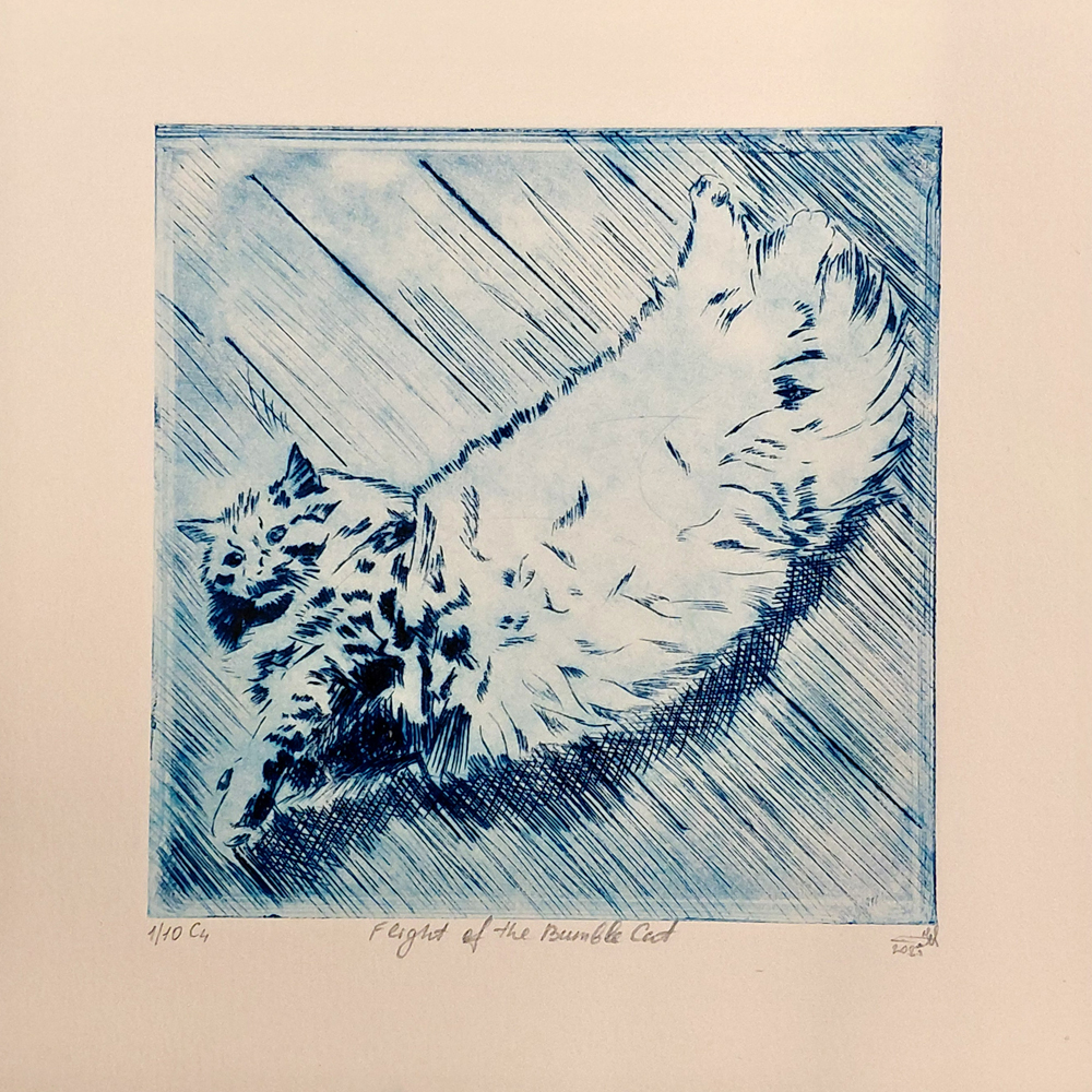 Flight of the Bumble Cat