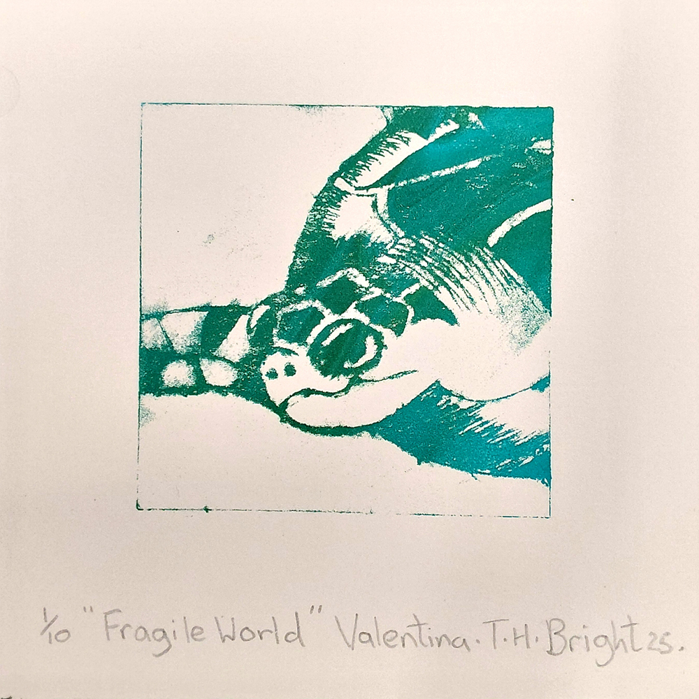 Fragile World
