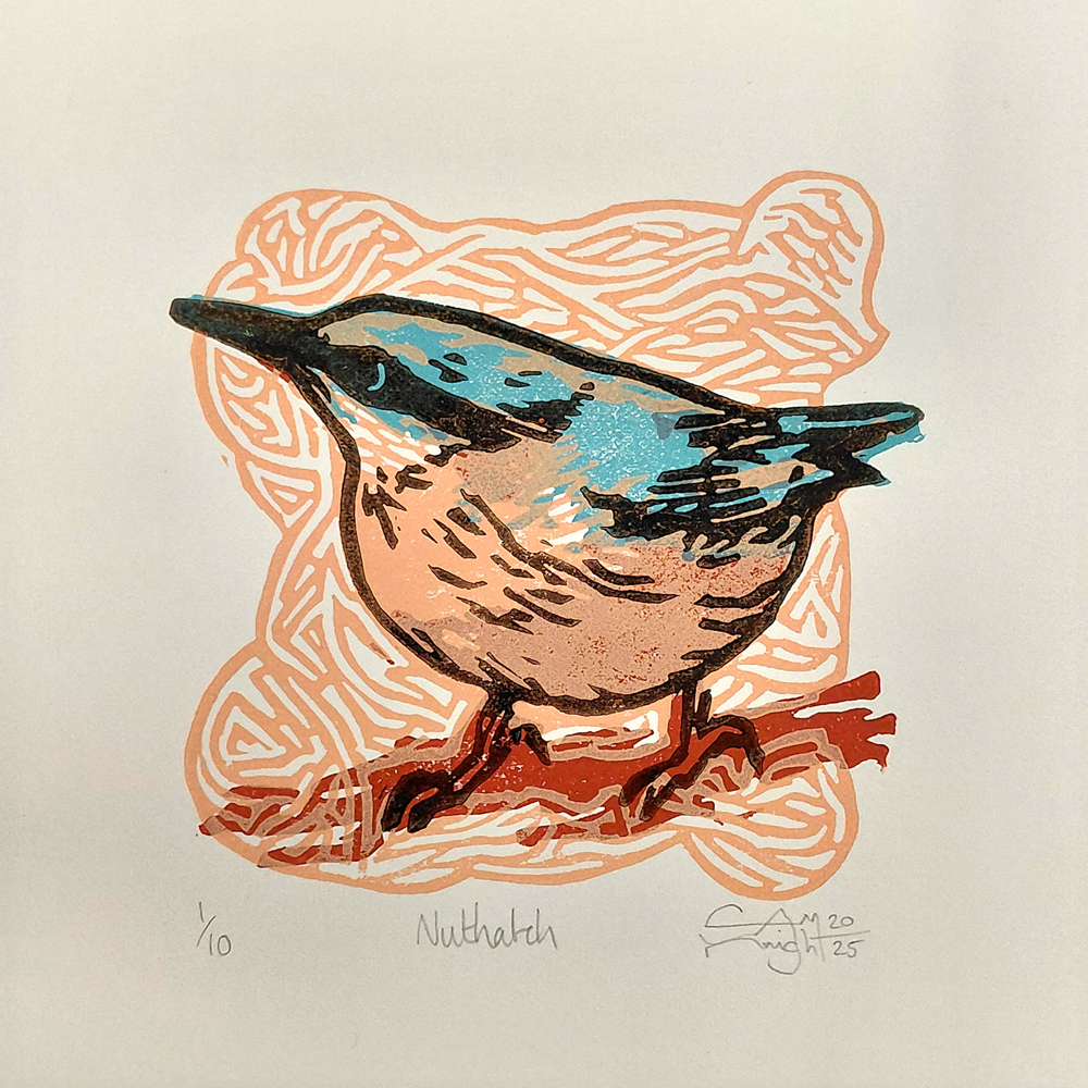Nuthatch